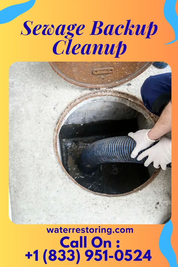 Sewage Backup Cleanup in Easton, PA