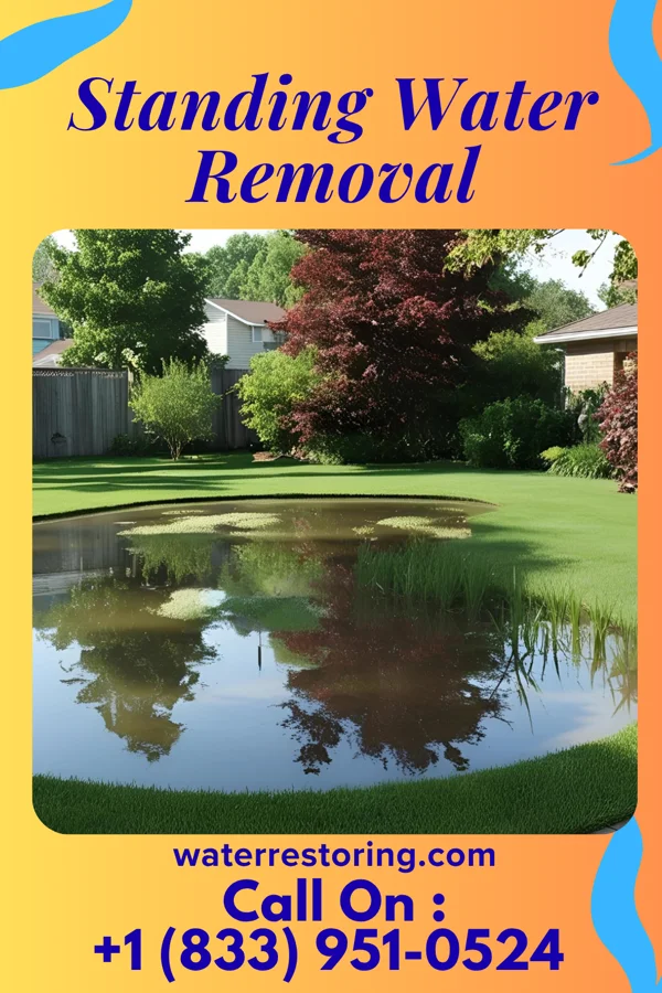 Standing Water Removal in Easton, PA